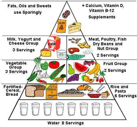 Food Pyramid Guidelines. Healthy+diet+pyramid